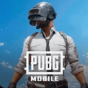 pubg国际服