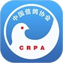 中国信鸽协会