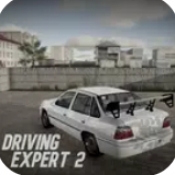 驾驶专家2
