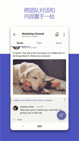 microsoft Teams 截图