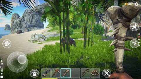 最后的海盗岛屿生存 截图