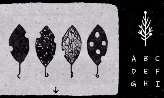 她的树迷梦 截图