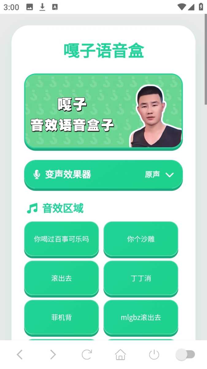 嘎子语音盒 截图