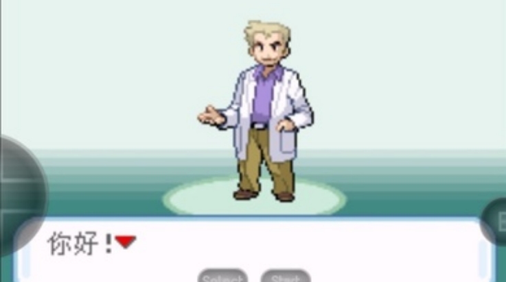 口袋妖怪暗之冰花2014 截图