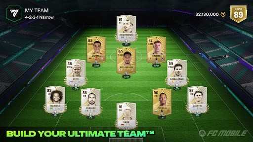 fc足球世界国际服 截图