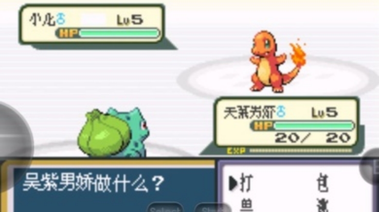 口袋妖怪暗之冰花2014 截图