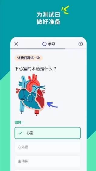 quizlet修复版 截图