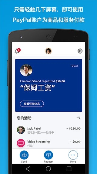 paypal 截图