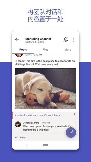 teams视频会议 截图