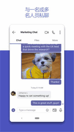 microsoft Teams 截图