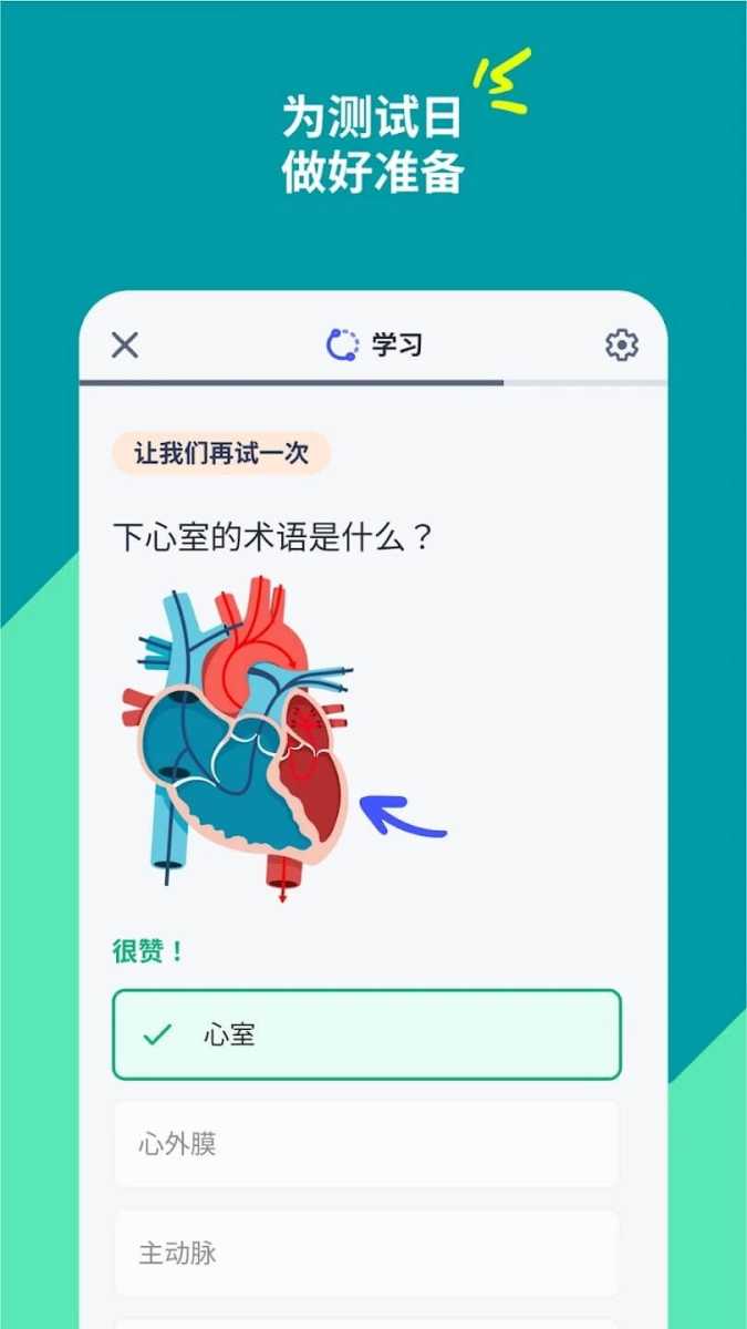 quizlet 截图
