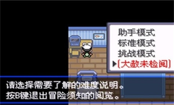 口袋妖怪究极绿宝石5 截图