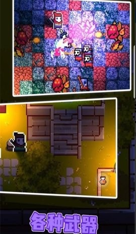 地心护核者（The Last Dungeon） 截图