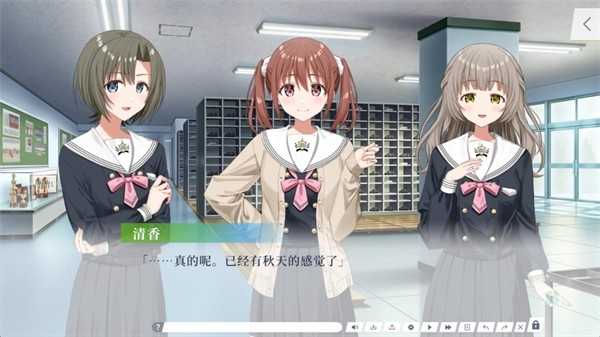 四叶草的花语 截图