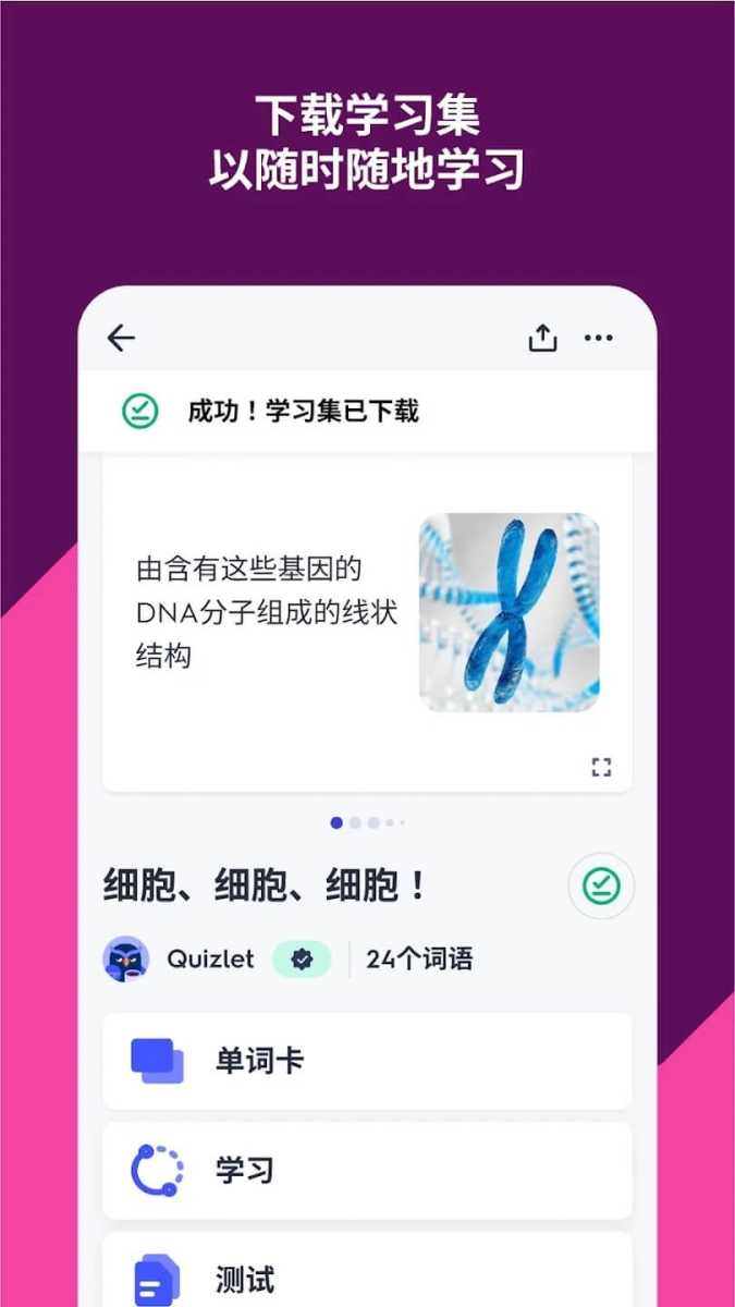 quizlet 截图