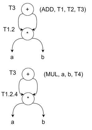 DAG Construction Process