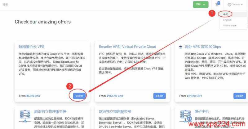 DataOnline越南VPS购买教程-入口