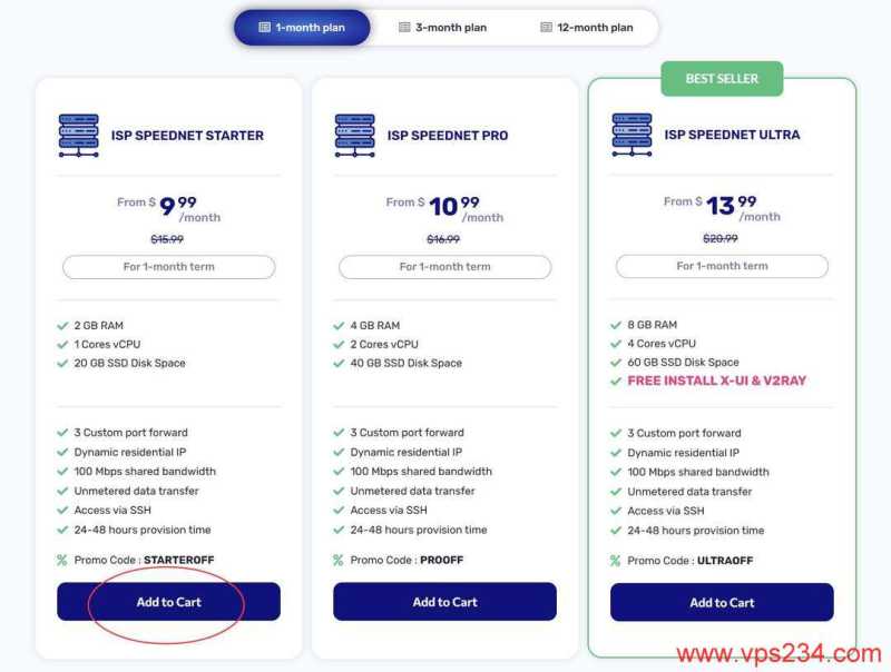 BrawCloud马来西亚VPS购买教程-套餐选择