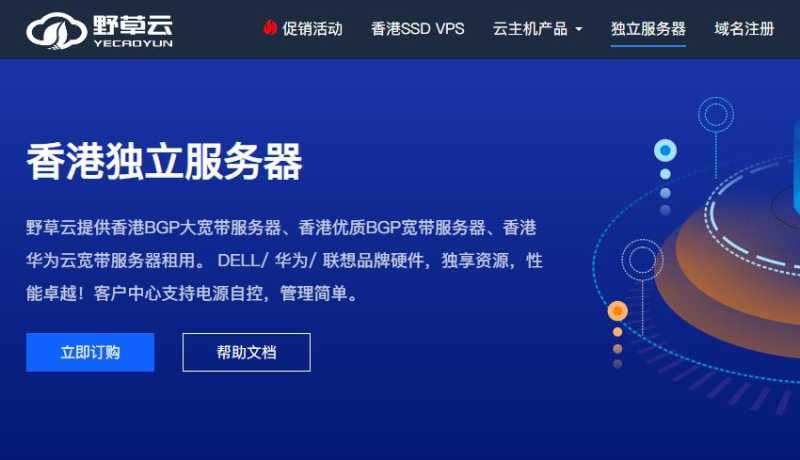 野草云：香港独立服务器测评 - BGP大带宽