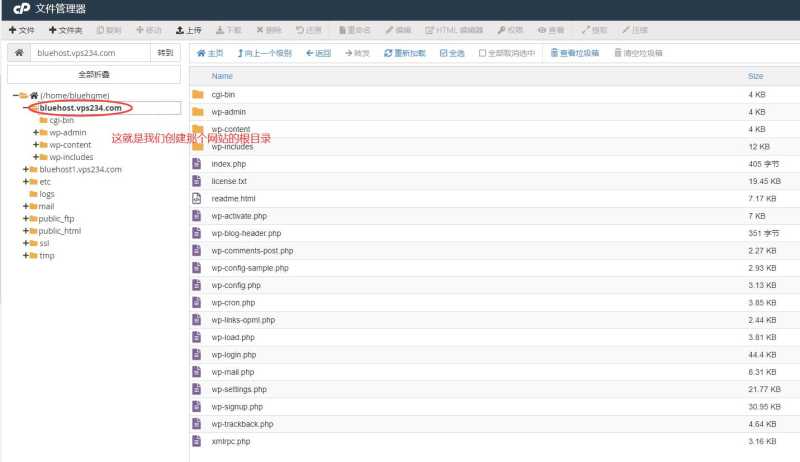 Bluehost虚拟主机建站教程 – 30分钟快速搭建网站 VPS插图23