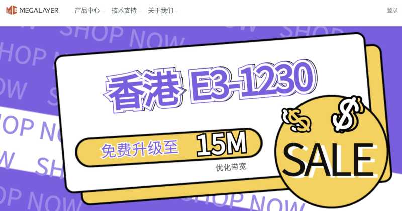 香港独立服务器推荐 - Megalayer