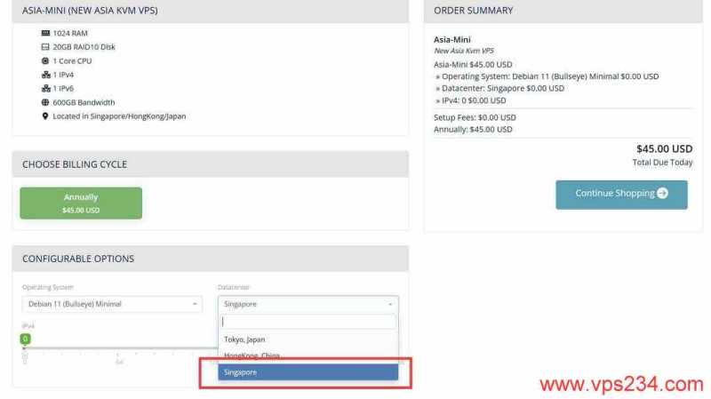 XSX新加坡VPS购买教程-配置选择