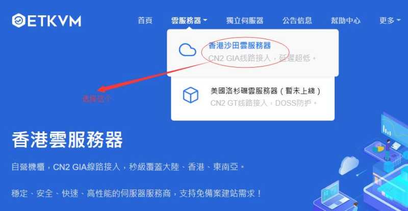 超便宜香港VPS云服务器 ETKVM  – CN2 GIA 线路低延迟插图3