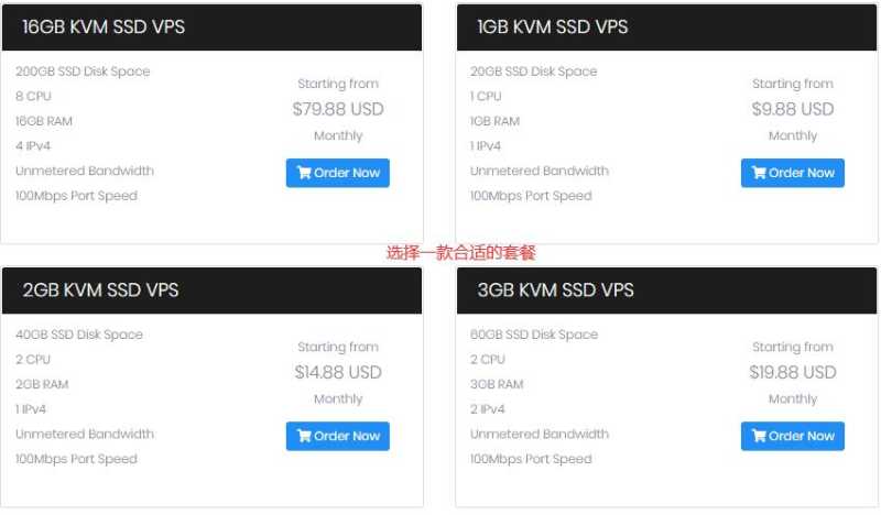 DediPath美国VPS哪些值得推荐？亚洲优化线路和无限流量支持效果怎么样？插图4