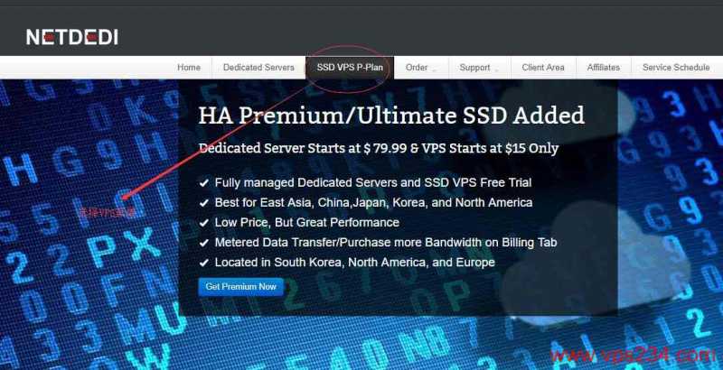 netdedi 商家信息返回 VPS 测评插图