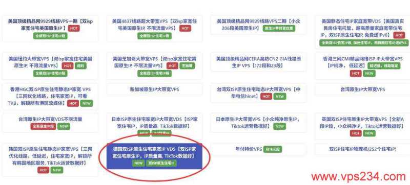 丽萨主机德国家宽VPS购买教程-节点选择