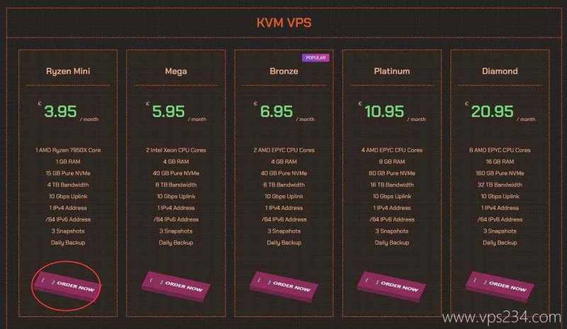 QDE荷兰VPS购买教程-套餐选择