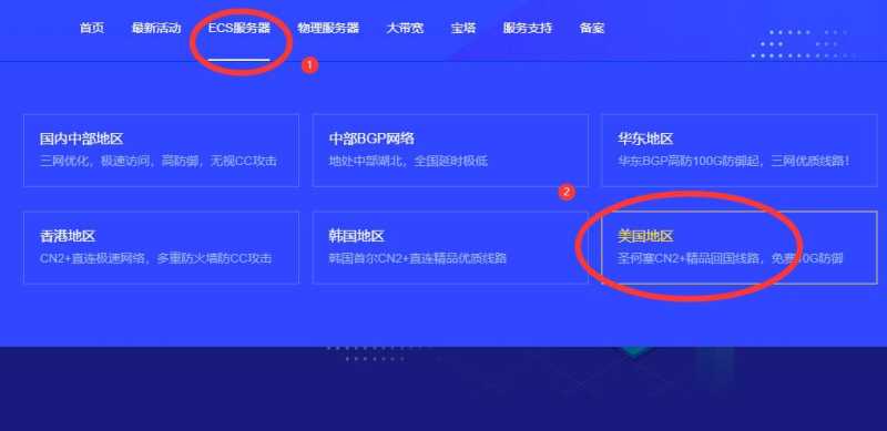 大网数据美国VPS购买入口链接