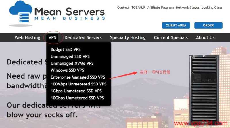美国VPS MeanServers 推荐，带宽可达10Gbps，超稳定不掉线 测评插图3