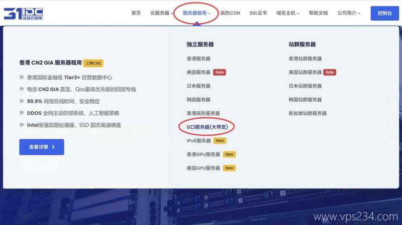 31IDC香港大带宽服务器购买教程-产品选择