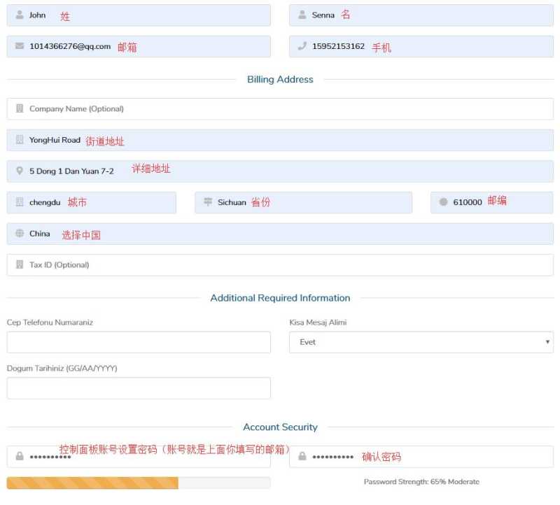 哪里有台湾VPS，Serverfield新手购买教程在哪里找，怎样购买Serverfield？插图4