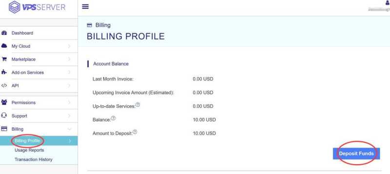 VPSServer购买教程-预存金额