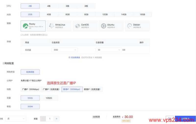 V5.NET香港VPS购买教程-配置选择