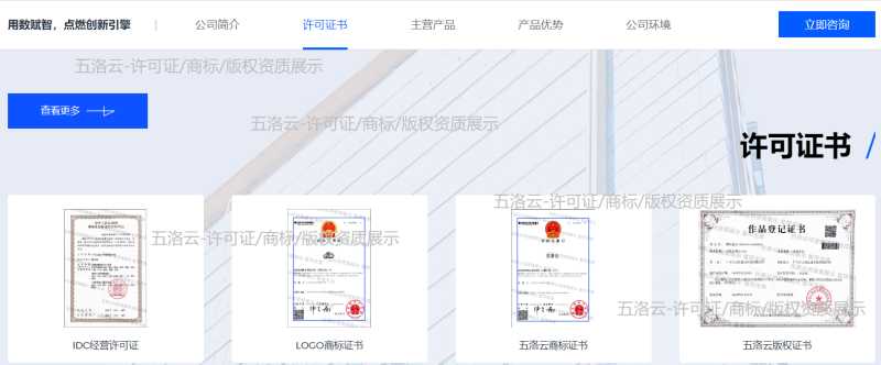 五洛云资质