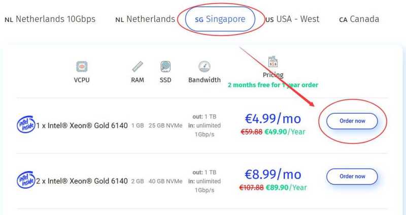 SERVERSGURU新加坡VPS购买教程-节点选择
