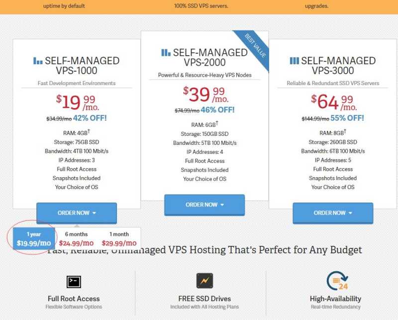 哪里有美国VPS InmotionHosting，购买教程怎么样？插图1