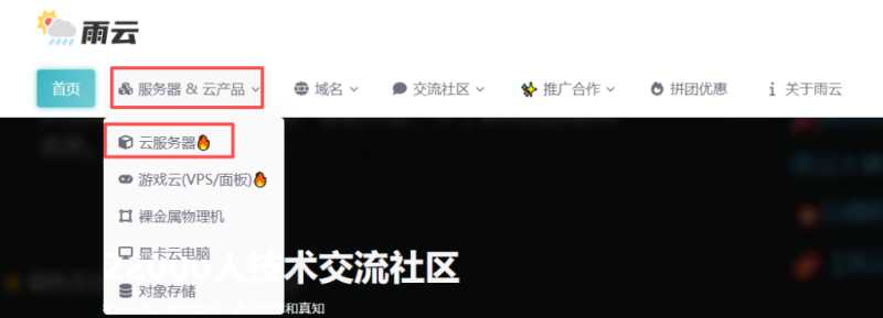 雨云RainYun洛杉矶VPS怎么样？AS9929优化线路+美国原生IP，低价高性价比方案值得入手吗？插图1