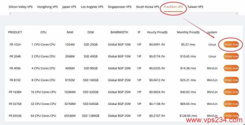 RAKsmart德国VPS购买教程-节点选择