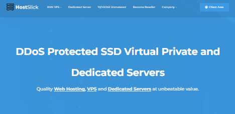 HostSlick荷兰高性价比VPS、大存储VPS和独服怎么样？€2/月2Gbps带宽20TB流量支持DMCA忽略，值得入手吗？插图