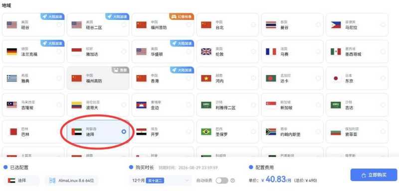 萤光云中东VPS购买教程-节点选择