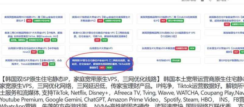 丽萨主机韩国VPS购买教程
