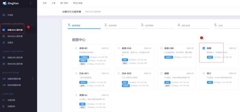 DogYun韩国VPS推荐吗？CN2线路用起来怎么样？插图3