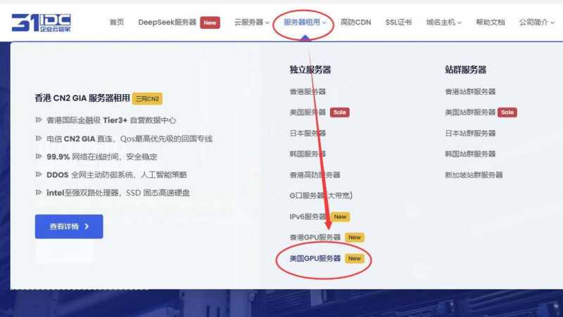 31IDC美国GPU服务器测评-入口链接