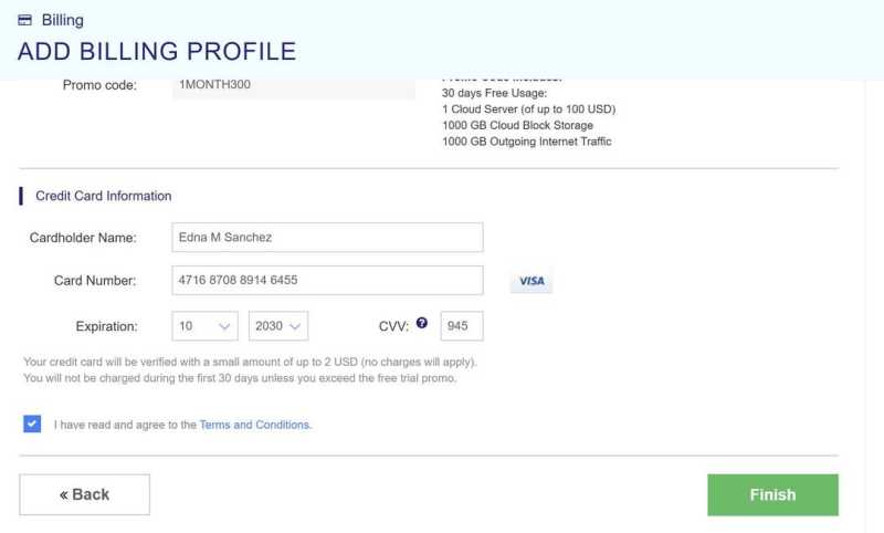 VPSServer购买教程-信用卡填写
