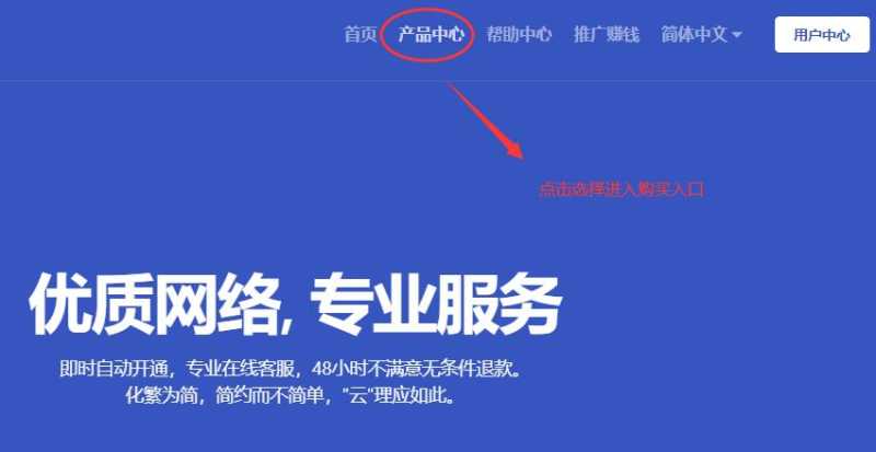 丽萨主机美国家宽VPS购买教程 - 首页入口