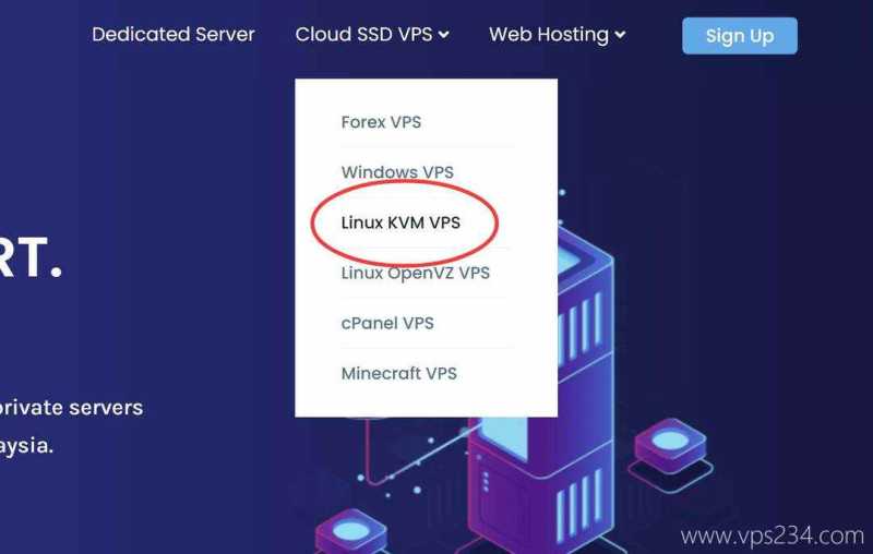 VPS Malaysia马来西亚VPS购买教程-首页入口